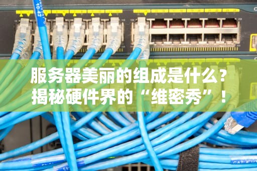 服务器美丽的组成是什么？揭秘硬件界的“维密秀”！