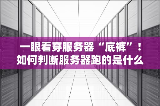 一眼看穿服务器“底裤”！如何判断服务器跑的是什么数据库？