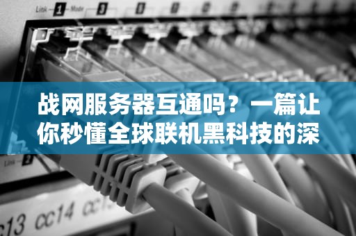战网服务器互通吗？一篇让你秒懂全球联机黑科技的深度测评！