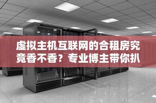 虚拟主机互联网的合租房究竟香不香？专业博主带你扒一扒