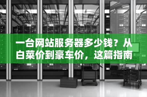 一台网站服务器多少钱？从白菜价到豪车价，这篇指南让你不花冤枉钱！