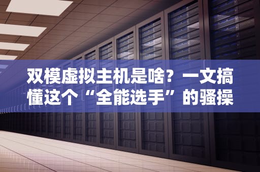双模虚拟主机是啥？一文搞懂这个“全能选手”的骚操作！