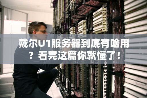 戴尔U1服务器到底有啥用？看完这篇你就懂了！