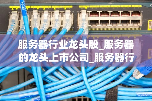 服务器行业龙头股_服务器的龙头上市公司_服务器行业龙头股的深度剖析