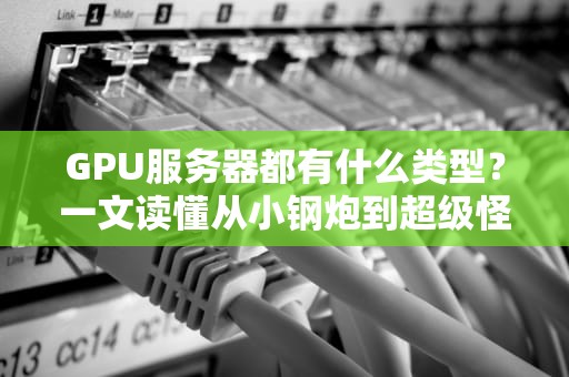 GPU服务器都有什么类型？一文读懂从小钢炮到超级怪兽的进化史！