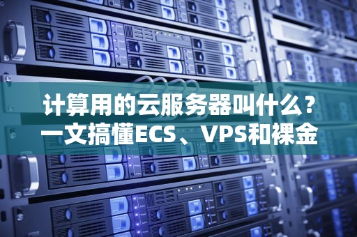 计算用的云服务器叫什么？一文搞懂ECS、VPS和裸金属的“三角恋”关系