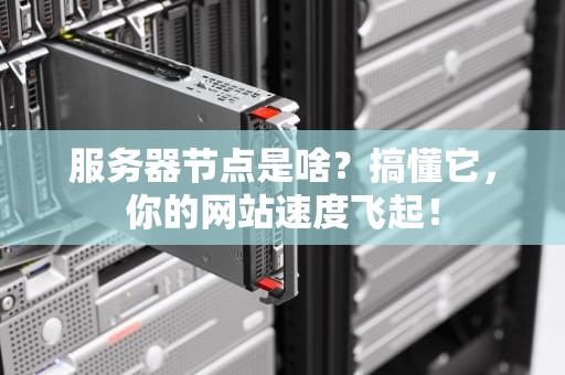 服务器节点是啥？搞懂它，你的网站速度飞起！