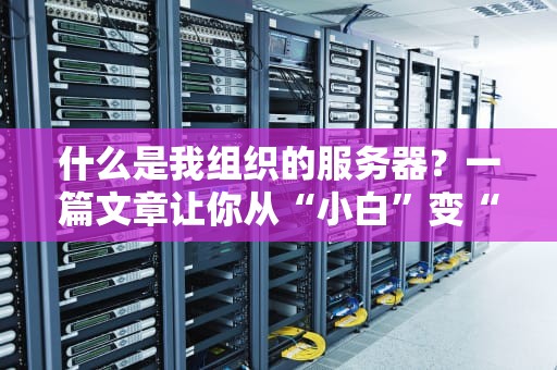 什么是我组织的服务器？一篇文章让你从“小白”变“大神”