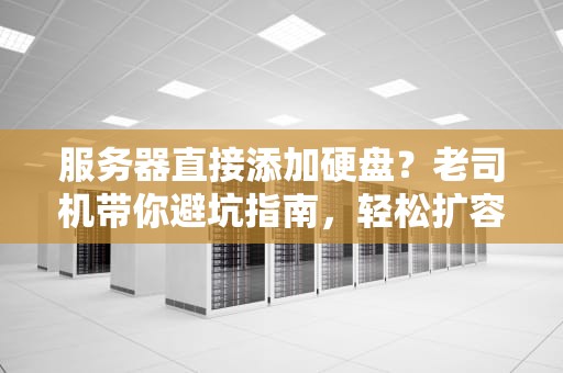 服务器直接添加硬盘？老司机带你避坑指南，轻松扩容不翻车！