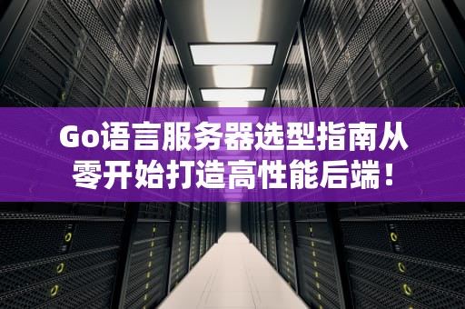 Go语言服务器选型指南从零开始打造高性能后端！