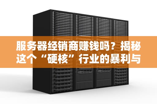 服务器经销商赚钱吗？揭秘这个“硬核”行业的暴利与辛酸！