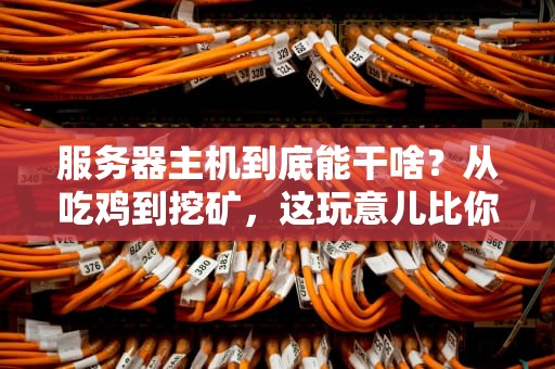 服务器主机到底能干啥？从吃鸡到挖矿，这玩意儿比你想象的更万能！