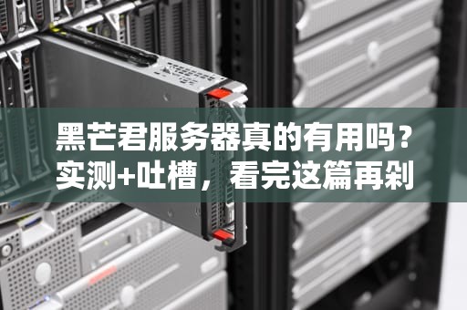 黑芒君服务器真的有用吗？实测+吐槽，看完这篇再剁手！
