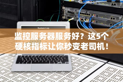 监控服务器服务好？这5个硬核指标让你秒变老司机！