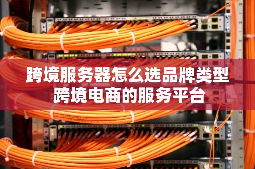 跨境服务器怎么选品牌类型 跨境电商的服务平台