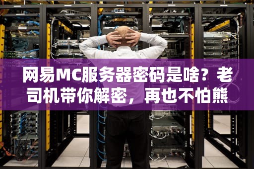 网易MC服务器密码是啥？老司机带你解密，再也不怕熊孩子炸服！