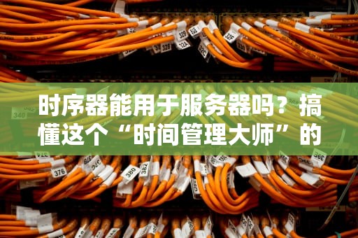 时序器能用于服务器吗？搞懂这个“时间管理大师”的硬核玩法！