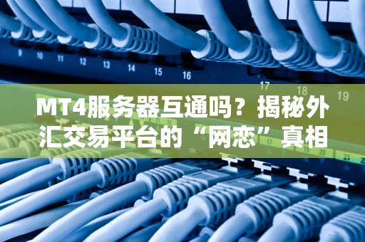 MT4服务器互通吗？揭秘外汇交易平台的“网恋”真相！
