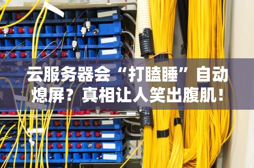云服务器会“打瞌睡”自动熄屏？真相让人笑出腹肌！