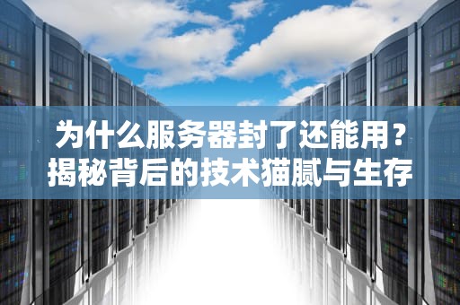 为什么服务器封了还能用？揭秘背后的技术猫腻与生存法则