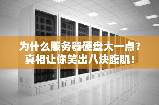为什么服务器硬盘大一点？真相让你笑出八块腹肌！