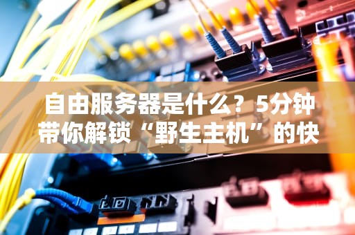 自由服务器是什么？5分钟带你解锁“野生主机”的快乐与坑！