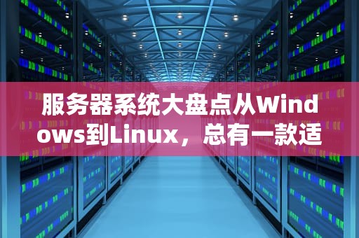 服务器系统大盘点从Windows到Linux，总有一款适合你的数字打工人！