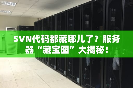 SVN代码都藏哪儿了？服务器“藏宝图”大揭秘！