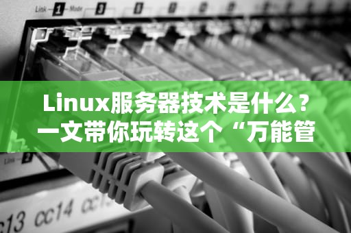 Linux服务器技术是什么？一文带你玩转这个“万能管家”！