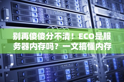 别再傻傻分不清！ECO是服务器内存吗？一文搞懂内存那些事儿