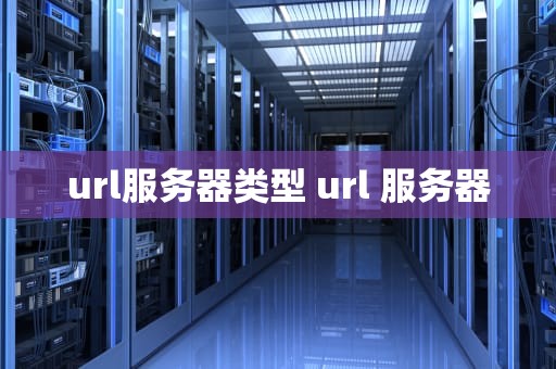 url服务器类型 url 服务器