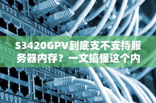 S3420GPV到底支不支持服务器内存？一文搞懂这个内存迷惑行为大赏！