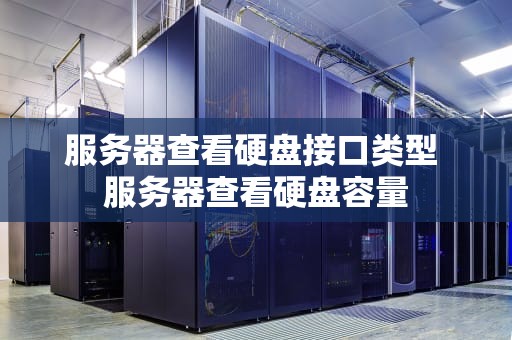 服务器查看硬盘接口类型 服务器查看硬盘容量