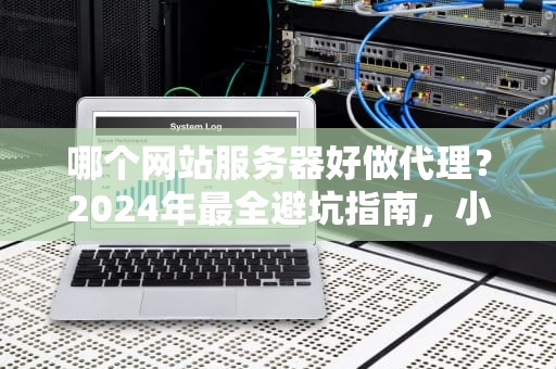 哪个网站服务器好做代理？2024年最全避坑指南，小白也能秒变老司机！