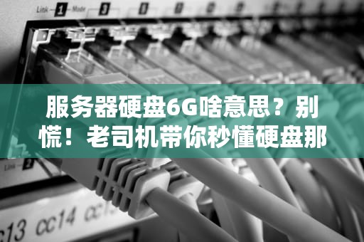 服务器硬盘6G啥意思？别慌！老司机带你秒懂硬盘那些事儿！