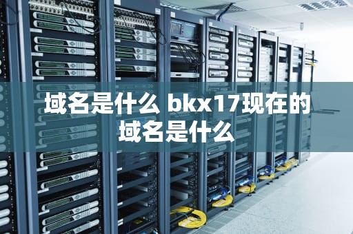 域名是什么 bkx17现在的域名是什么