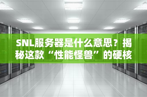 SNL服务器是什么意思？揭秘这款“性能怪兽”的硬核实力！