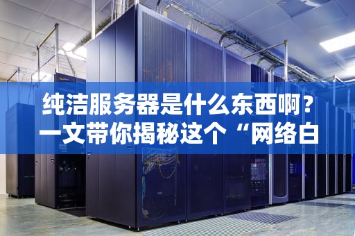 纯洁服务器是什么东西啊？一文带你揭秘这个“网络白莲花”