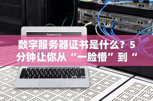 数字服务器证书是什么？5分钟让你从“一脸懵”到“秒懂大佬”！