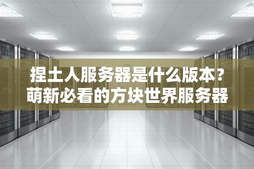 捏土人服务器是什么版本？萌新必看的方块世界服务器指南