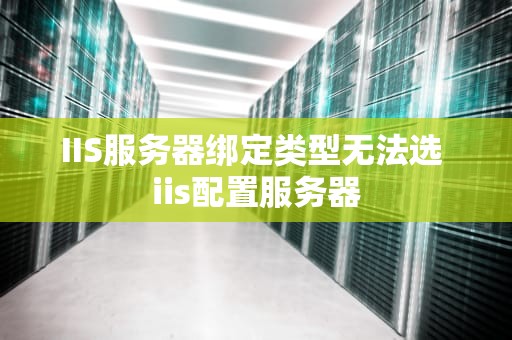 IIS服务器绑定类型无法选 iis配置服务器