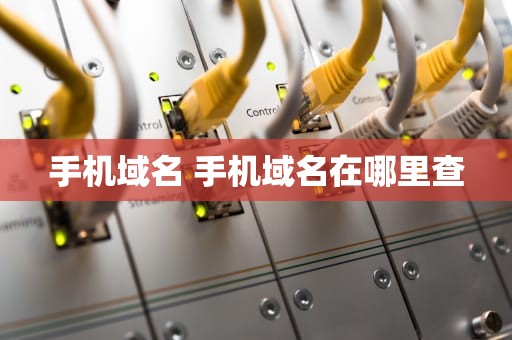 手机域名 手机域名在哪里查