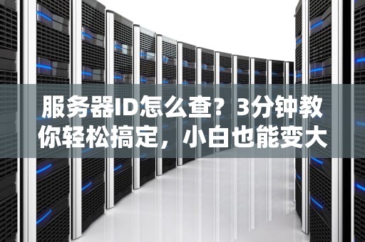 服务器ID怎么查？3分钟教你轻松搞定，小白也能变大神！
