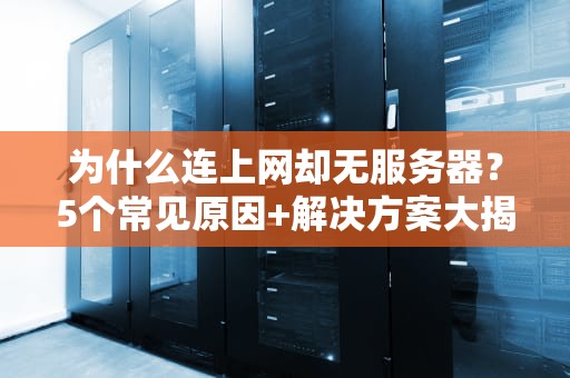 为什么连上网却无服务器？5个常见原因+解决方案大揭秘！