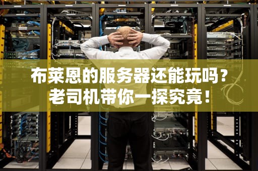 布莱恩的服务器还能玩吗？老司机带你一探究竟！