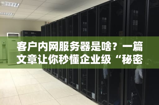 客户内网服务器是啥？一篇文章让你秒懂企业级“秘密基地”！