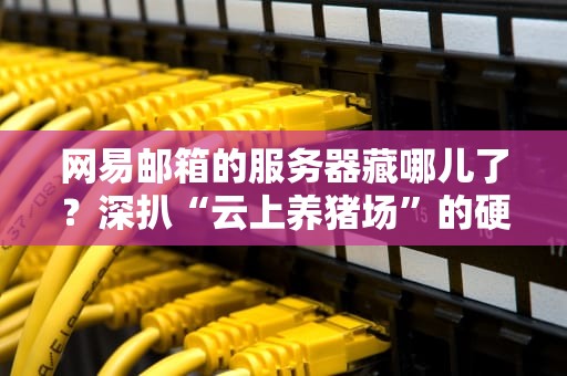网易邮箱的服务器藏哪儿了？深扒“云上养猪场”的硬核选址逻辑！