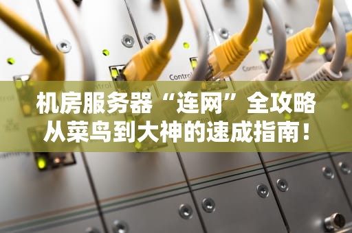 机房服务器“连网”全攻略从菜鸟到大神的速成指南！