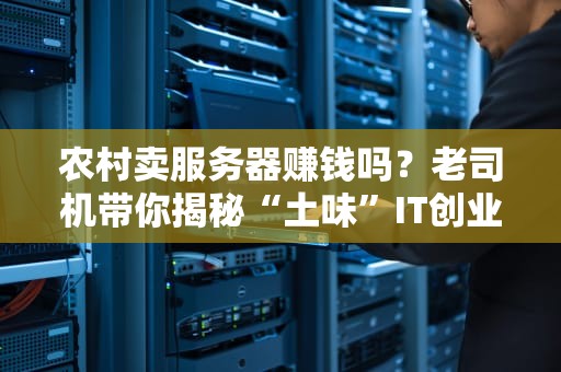 农村卖服务器赚钱吗？老司机带你揭秘“土味”IT创业经！