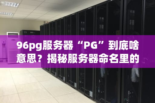 96pg服务器“PG”到底啥意思？揭秘服务器命名里的那些“黑话”！